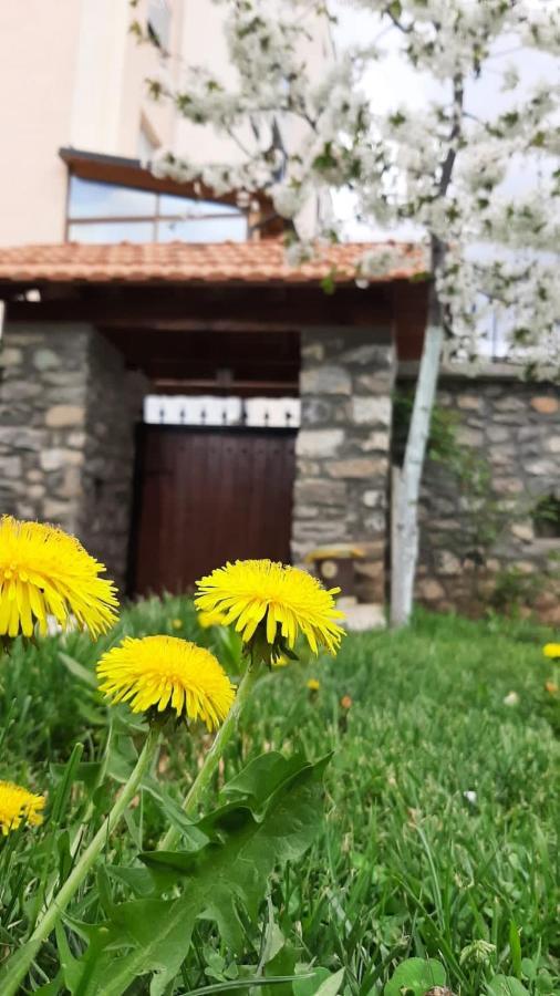 Guesthouse Tershana Peshkopi Екстер'єр фото